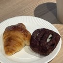 2024-06-0004 | 도쿄 가볼만한곳 우에노동물원 이후 나리타공항 이동
