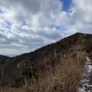순천-73호 네이버블로그