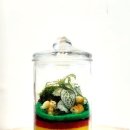 초등과학지도사1급 이미지