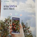 유영진농장 이미지