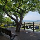 화원동산 전망대 이미지