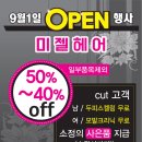 미젤헤어