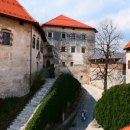 블레드 | 자그레브에서 떠나는 슬로베니아 동화여행! 블레드 &amp; 포스토이나 완전정복 후기