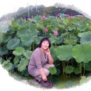 보은농장 이미지