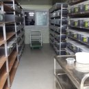 알프스 농장 이미지