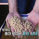 시골 즉석 손두부 이미지