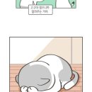 멍멍사우나 이미지