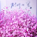 단성고등학교 이미지