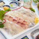 속초사잇길 제1길 | 속초 횟집 자연산 스페셜 모듬회 후기, 속초 엑스포 맛집 찾는다면 추천!