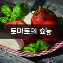 ◇토마토의 효능 이미지