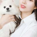 하윤(Ha yoon)