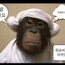 냠냠 이미지