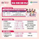 도천초등학교 | 진해 군항제 벚꽃 축제 정보 필수코스 다녀온 후기 및 꿀팁