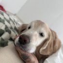 더키움 동물병원 이미지