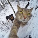 함덕언니 | [제주도2탄]카더가든과 오존 우정?못지 않음. 카페 홀수, 뚱보아저씨, 함덕언니 독채 후기, 칠돈가, 나무꽃