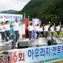 아우라지와 함께 추억여행! 제17회 아우라지 뗏목축제 이미지