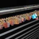 레베농장 이미지