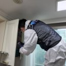 부산방역