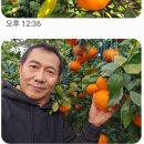 연님농장 이미지