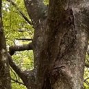 아침이슬팬션 이미지