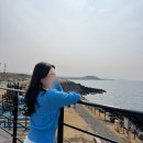 제이발전소 | 제주 4박5일 여행 1일차 💛 유채꽃 실컷본 날 해안도로 드라이브