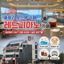 내돈내산 | 을왕리 오션뷰 카페 레드피아노 후기 | 애견동반 가능