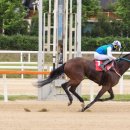 골든목장 이미지