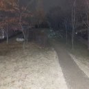 공원정통 다이어트복싱 이미지