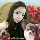 와와맘