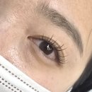 다온래쉬 네이버블로그