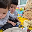 한사랑영아전담어린이집 이미지