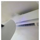 스마일케어 이미지