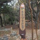 원안목장 Daum카페