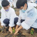 서삼초등학교 이미지