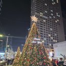 해운대시장 | 부산 여행 해운대 전통시장 방문 후기