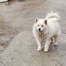 하늘호수&어부와자연인 | 가성비 제천호수풍경펜션에서 우당탕탕 1박2일 제천여행 (with 스터디형들)