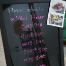 미엘플레르