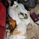 원항수산 - 통영시 새터길 42-6 | 원항수산