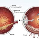 바른안과의원 이미지