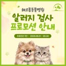 해오름 동물병원 네이버블로그