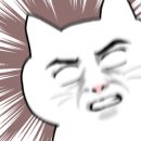 헤어이안