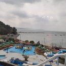 편백 해수탕 사우나 이미지