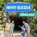 제45회 정기연주회 | 광명동굴 입장료 주차 할인 꿀팁 2026 여름 실내 가볼만한곳 추천