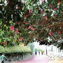 동백빌딩 이미지