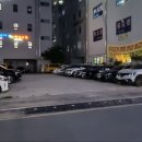 금성뒷고기
