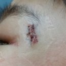 오리궁뎅이 이미지