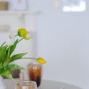 까사데까르네 이미지