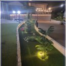 두몽&달금 이미지