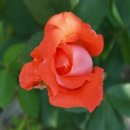 길식농장 이미지