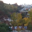 신풍초교(본교) 이미지